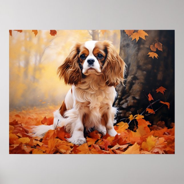 Blenheim Cavalier King Charles Spaniel Poster (Framsidan)