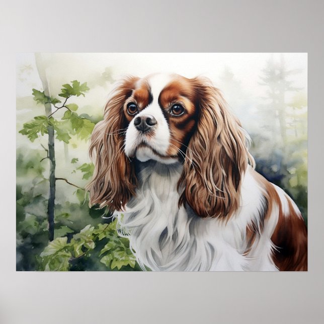 Blenheim Cavalier King Charles Spaniel Poster (Framsidan)