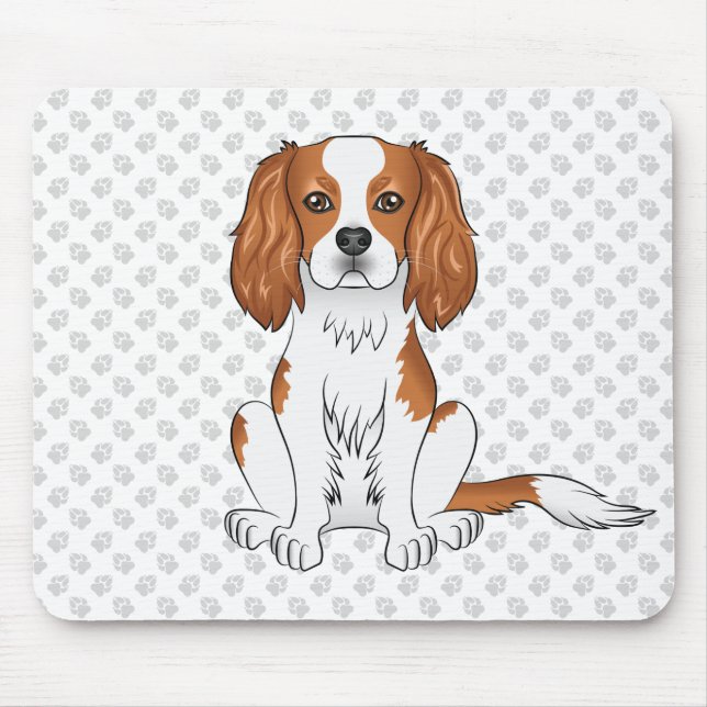 Blenheim Cavalier King Charles Spaniel & Tassar Musmatta (Framsidan)