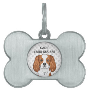 Blenheim Cavalier King Charles Spaniel & Text ID-bricka Husdjur