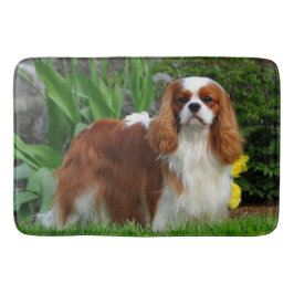 Blenheim Cavalier Kung Charles Puppy Hund Badrumsmatta