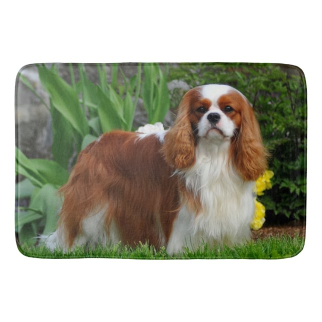 Blenheim Cavalier Kung Charles Puppy Hund Badrumsmatta (Framsidan)