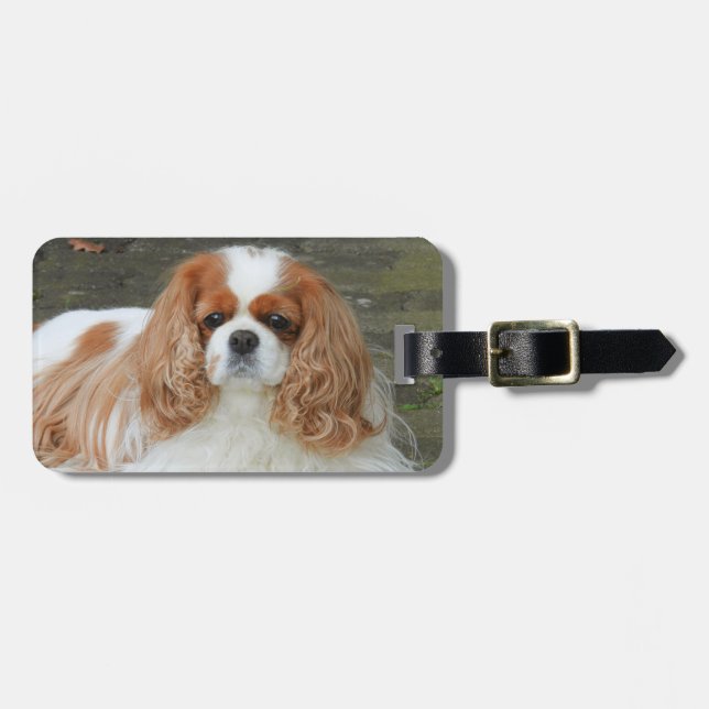 Blenheim Cavalier Kung Charles Puppy Hund Bagagebricka (Horisontell Framsida)