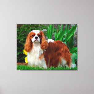 Blenheim Cavalier Kung Charles Puppy Hund Canvastryck