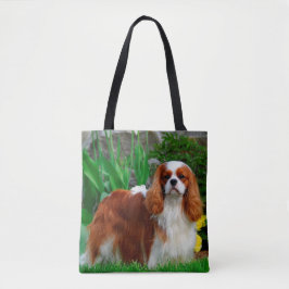 Blenheim Cavalier Kung Charles Puppy Hund Tygkasse