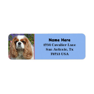 Blenheim Cavalier Kung Charles Returadress Etikett