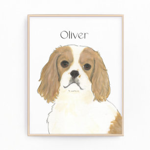 Blenheim Cavalier Kung Charles Spain Fototryck