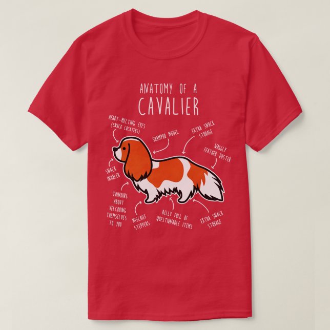 Blenheim Cavalier Kung Charles Spain Hund Anatomy T Shirt (Design framsida)