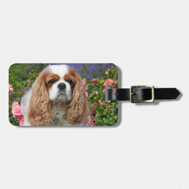 Blenheim Cavalier Kung Charles Spain Hund Bagagebricka (Horisontell Framsida)
