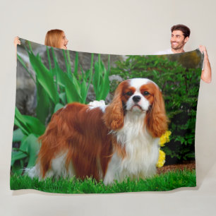 Blenheim Cavalier Kung Charles Spain Hund Fleecefilt