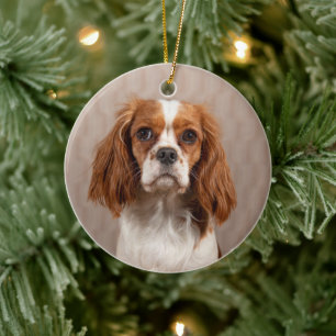 Blenheim Cavalier Kung Charles Spain Hund Julgransprydnad Keramik