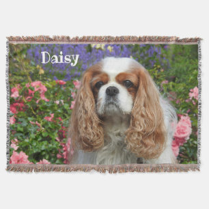 Blenheim Cavalier Kung Charles Spain i Flowers Filt