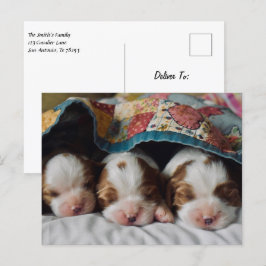 Blenheim Cavalier Kung Charles Spain Puppies Vykort
