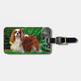 Blenheim Cavalier Kung Charles Spain Puppy Hund Bagagebricka