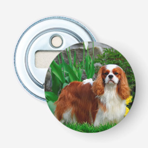 Blenheim Cavalier Kung Charles Spain Puppy Hund Flasköppnare