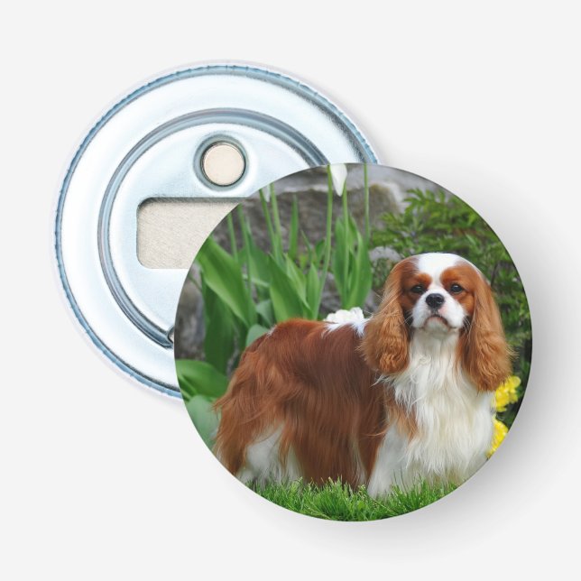 Blenheim Cavalier Kung Charles Spain Puppy Hund Flasköppnare (Framsidan)