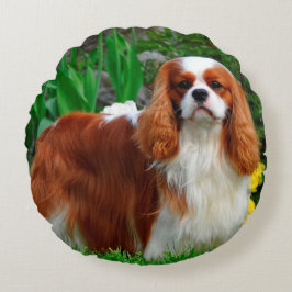 Blenheim Cavalier Kung Charles Spain Puppy Hund Rund Kudde
