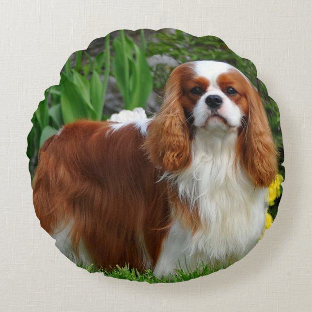 Blenheim Cavalier Kung Charles Spain Puppy Hund Rund Kudde (Framsidan)