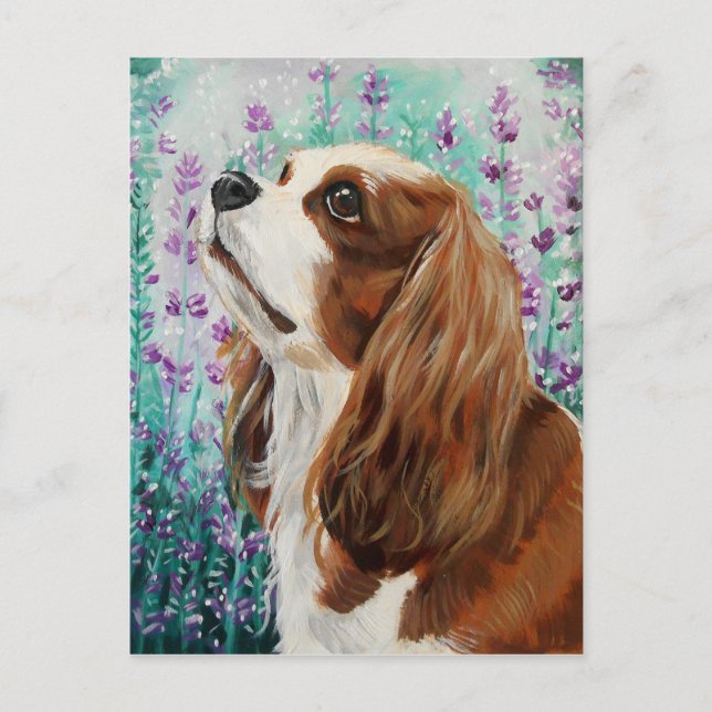 Blenheim Cavalier Kung Charles Spain Vykort (Framsida)