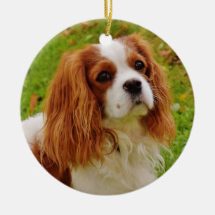 Blenheim Cavalier Kung Charles spanel i Grass Julgransprydnad Keramik