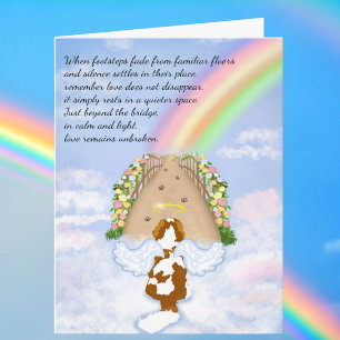 Blenheim Cavalier Rainbow Clouds Bridge Sympati Kort