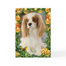 Blenheim Cavalier Spain Helgdag Card