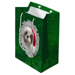 Blenheim Santa Cavalier Spain Gift Bag