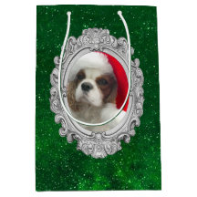 Blenheim Santa Cavalier Spain Gift Bag 