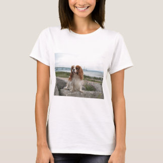 Blenheim stolt Mackinaw överbryggar Michigan Tee Shirt