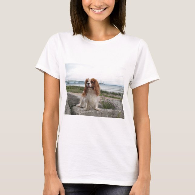 Blenheim stolt Mackinaw överbryggar Michigan Tee Shirt (Framsida)