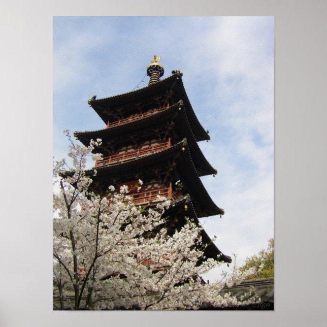 Blesningar av Vår nr 1/2011 Poster (Framsidan)