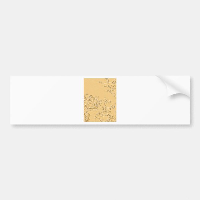 Bless You_ Bildekal (Framsidan)