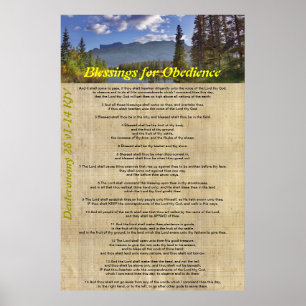 Blesser för självbestämmande poster