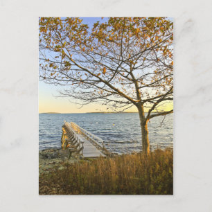Blev i Golden Light Vykort
