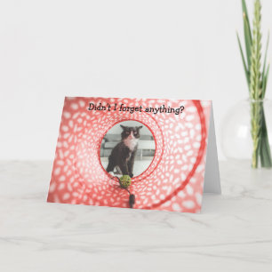 Blev på födelsedagen? Lustigt kort med katt