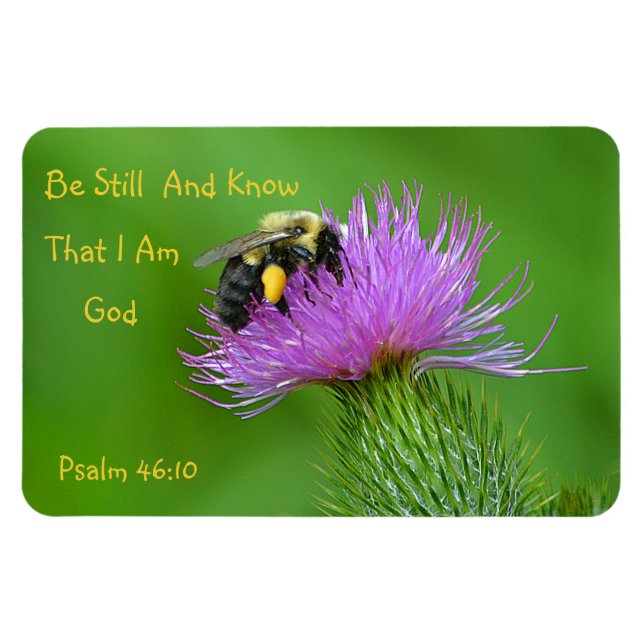 Bli fortfarande Bumblebee Magnet (Horisontell)