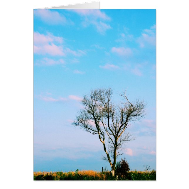 Bli inte Barren - Skriptkort Hälsningskort (Framsidan)