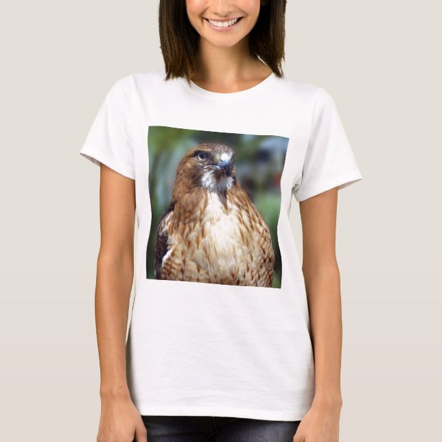 Blick av Falcomen Tee Shirt (Framsida)