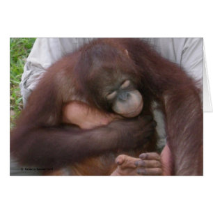Blind Baby Orangutan övervinner funktionsnedsättni Hälsningskort