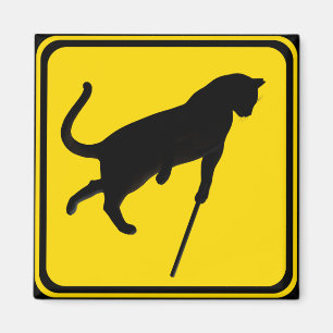 Blind Cats Crossing! Magnet