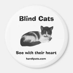 Blind kattmagnet magnet
