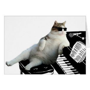 Blind kattpianist hälsningskort