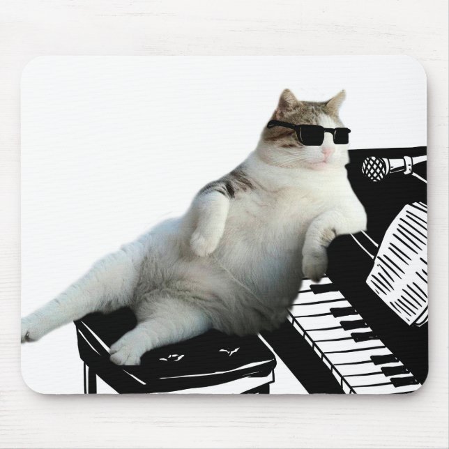 Blind kattpianist musmatta (Framsidan)