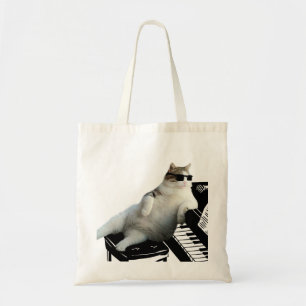 Blind kattpianist tygkasse