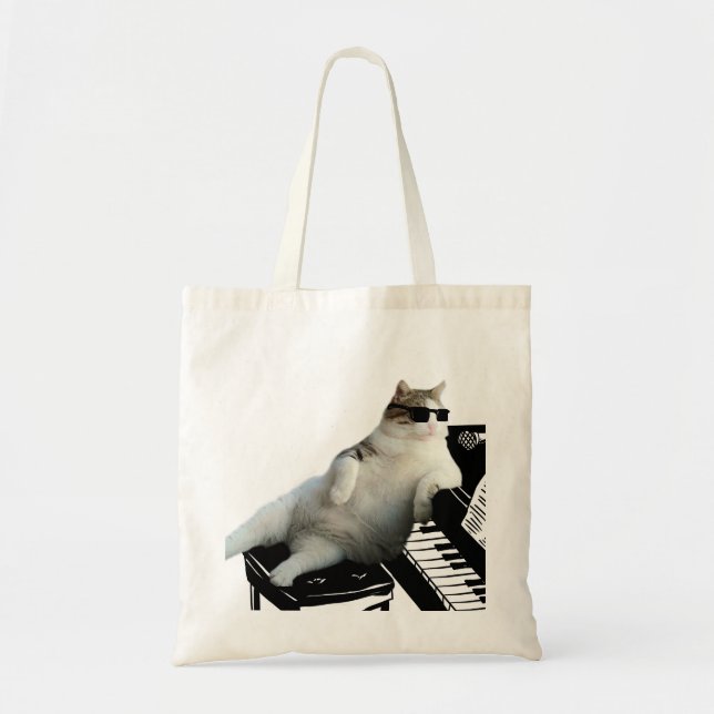 Blind kattpianist tygkasse (Framsidan)