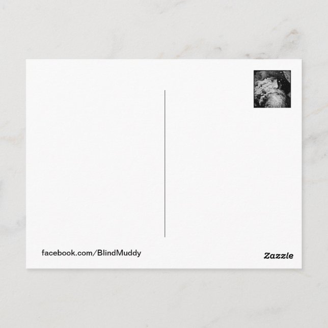 Blind Muddy Visions #2 vykort (Baksida)