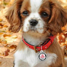 Blind Pet Medical Alert - eget namn svart rött