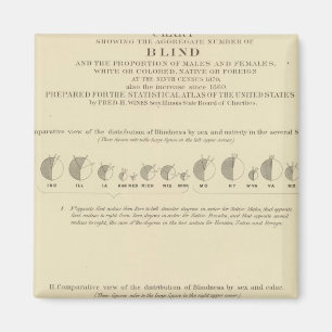 Blindring, USA:s statistiska litografi 1870 Magnet