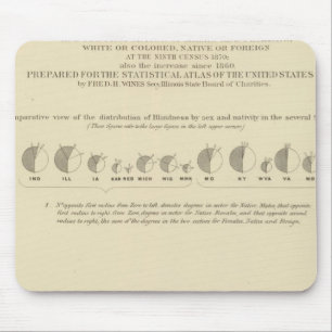 Blindring, USA:s statistiska litografi 1870 Musmatta