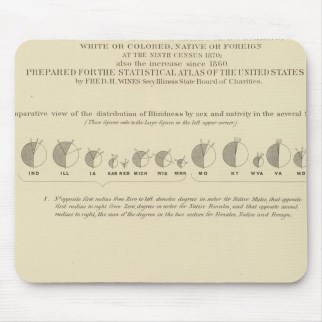 Blindring, USA:s statistiska litografi 1870 Musmatta (Framsidan)